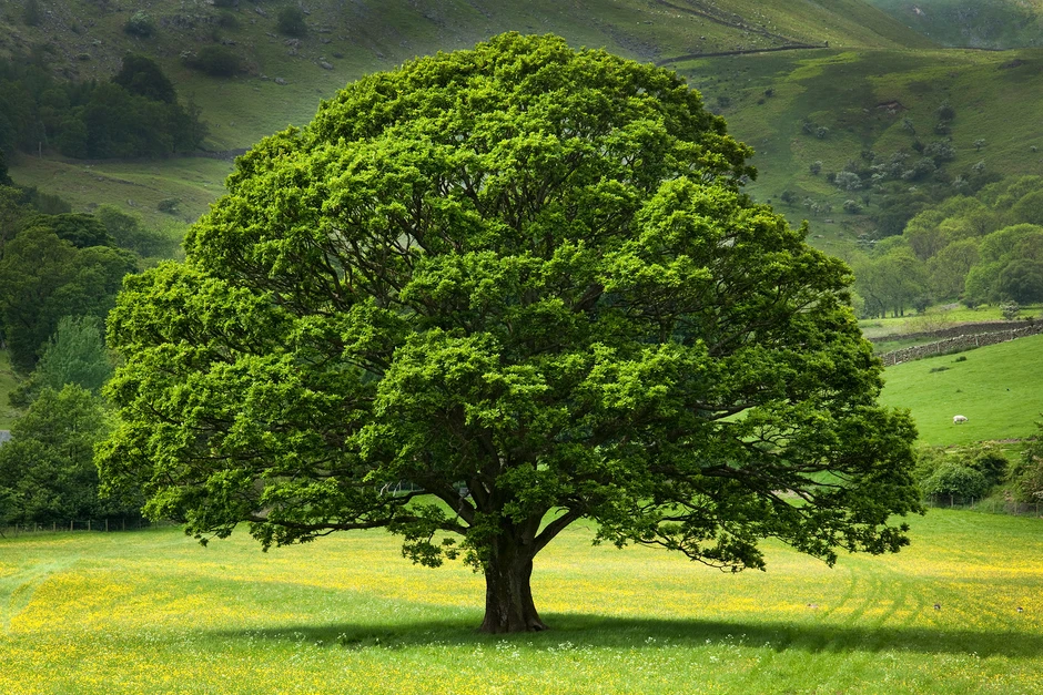 Background Image of people